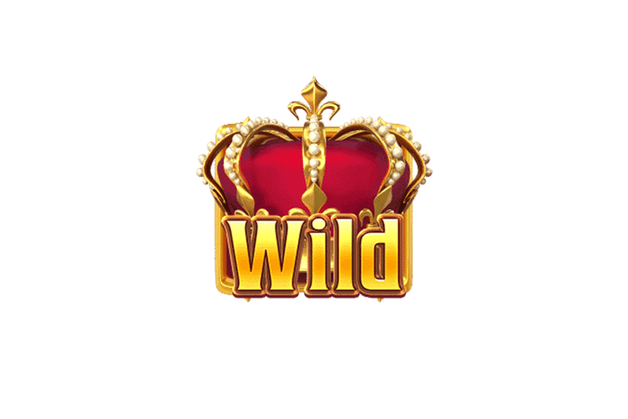 สัญลักษณ์ wild